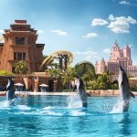 5 Amazing Dolphin Experiences You Can Have at Atlantis Dubai