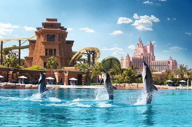 5 Amazing Dolphin Experiences You Can Have at Atlantis Dubai