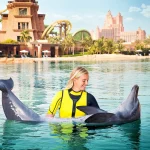 How to Get the Most Out of Your Dolphin Swim Adventure in Dubai