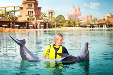 How to Get the Most Out of Your Dolphin Swim Adventure in Dubai