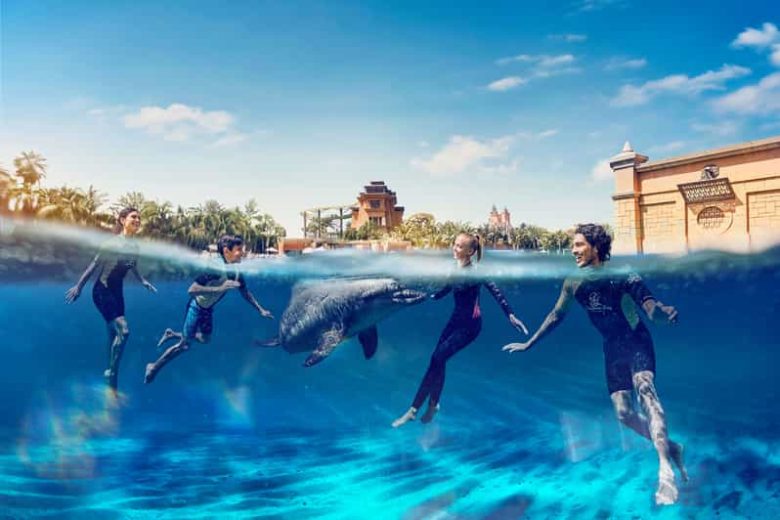 What to Expect During a Dolphin Meet and Greet at Atlantis